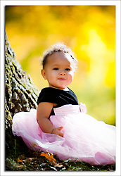 dgmphotography Front Page Image 5